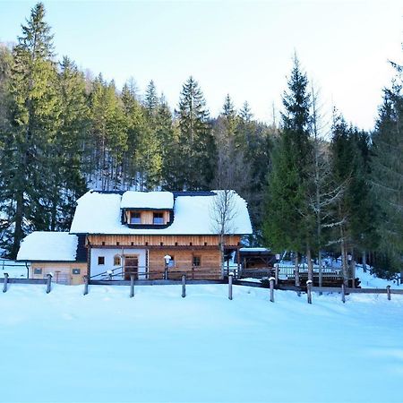 Ferienhaus Dirnbacher Huette Turnau Extérieur photo