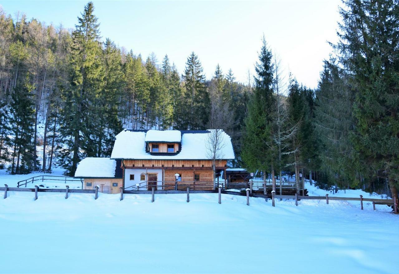 Ferienhaus Dirnbacher Huette Turnau Extérieur photo